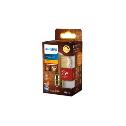 Lampadina LED dimmerabile VINTAGE Philips P45 E14/3,1W/230V 2200K