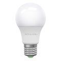 Lampadina LED ECOLINE A60 E27/15W/230V 6500K - Brilagi