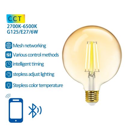 Lampadina LED dimmerabile FILAMENT MESH Smart G125 E27/6W/230V 2700-6500K - Aigostar