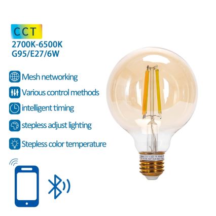 Lampadina LED FILAMENT G95 E27/6W/230V 2700-6500K - Aigostar