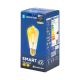 Lampadina LED FILAMENT ST64 E27/6W/230V 2700-6500K - Aigostar