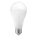 Lampadina LED GS E27/17W/230V 4000K