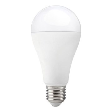 Lampadina LED GS E27/17W/230V 6500K