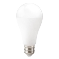 Lampadina LED GS E27/22W/230V 3000K