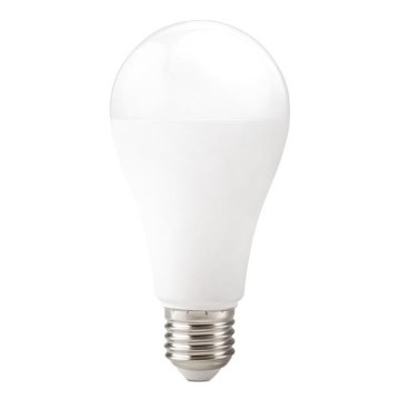 Lampadina LED GS E27/22W/230V 3000K