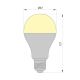 Lampadina LED LEDSTAR ECO E27/12W/230V