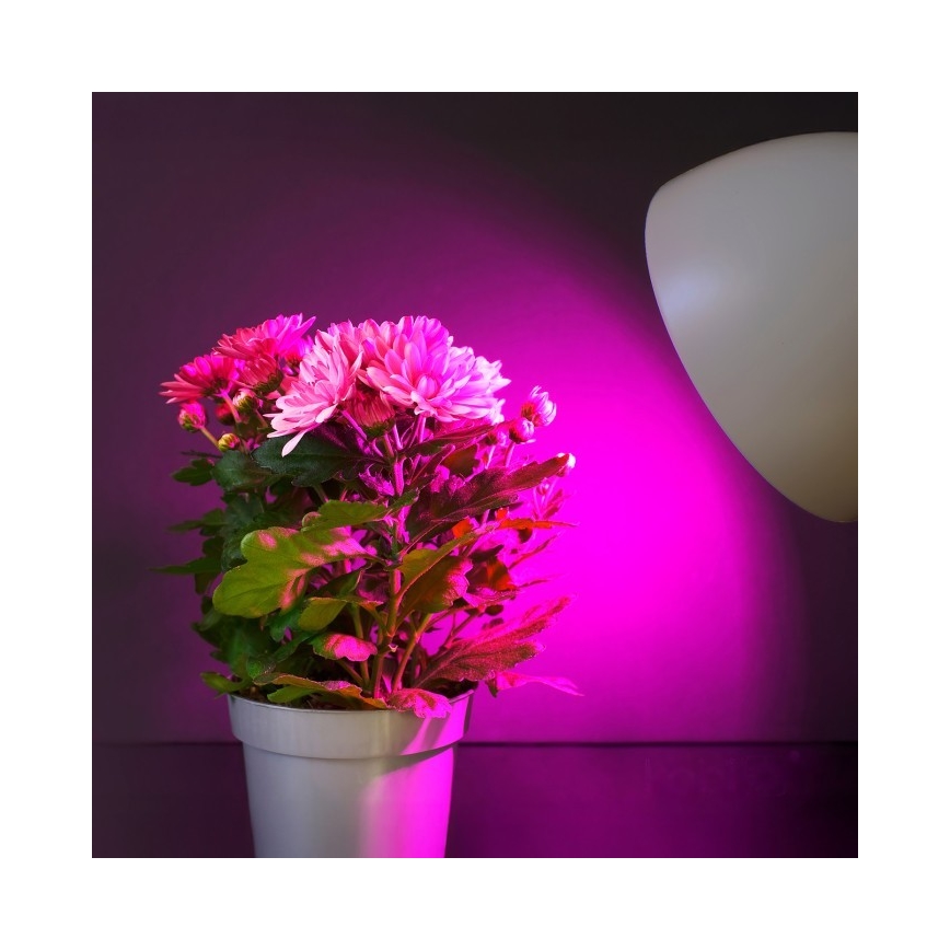 Lampadina LED per crescita piante PLANTY E27/11W/230V 1200K bianco