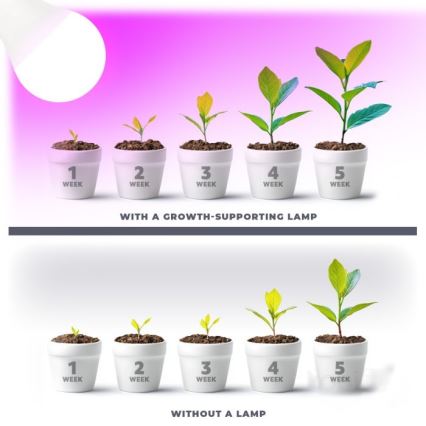 Lampadina LED per crescita piante PLANTY E27/11W/230V 1200K bianco