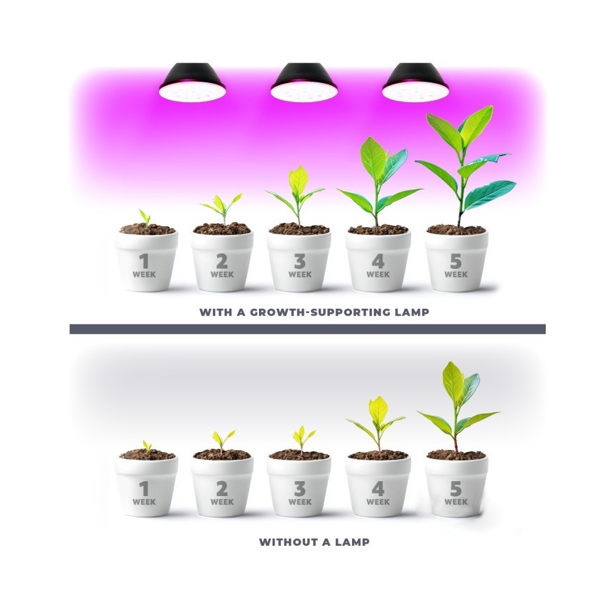 Lampadina LED per crescita piante PLANTY E27/7W/230V 1200K nera