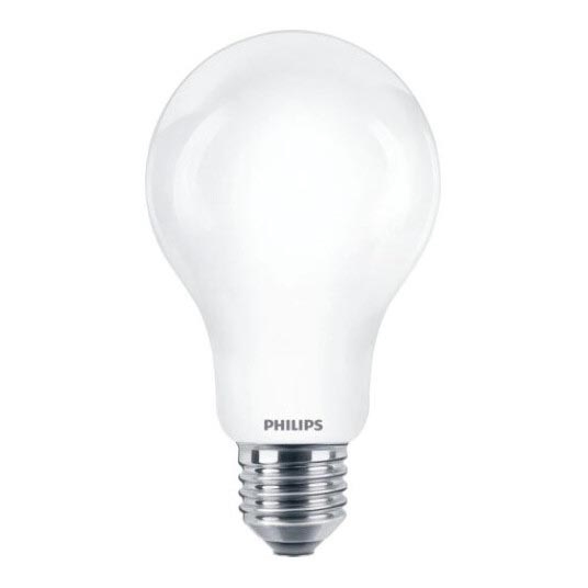 Lampadina LED Philips A67 E27/17,5W/230V 2700K