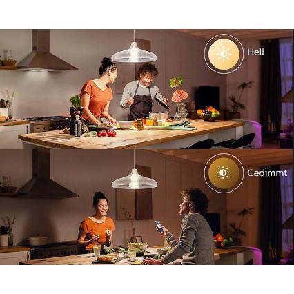 Lampadina LED Philips Hue WHITE E67 E27/15,5W/230V