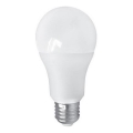 Lampadina LED PITT A60 AC/DC E27/12W/24V 4000K