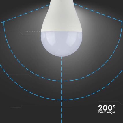 Lampadina LED SAMSUNG CHIP A65 E27/17W/230V 6500K