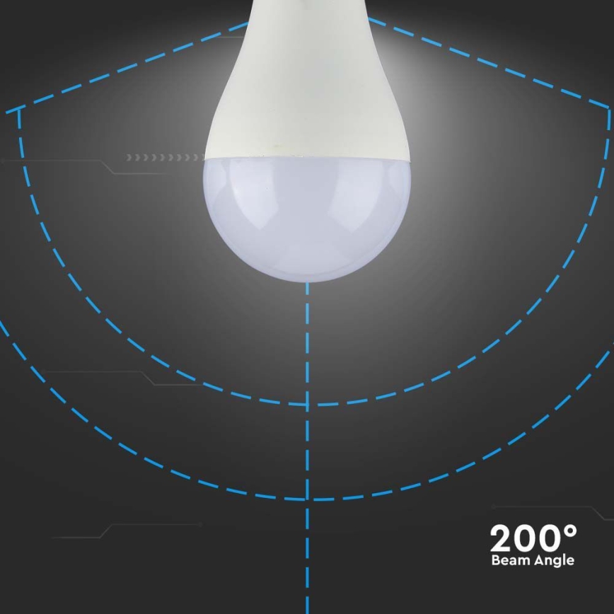 Lampadina LED SAMSUNG CHIP A65 E27/17W/230V 6500K