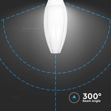 Lampadina LED SAMSUNG CHIP E40/60W/230V 4000K