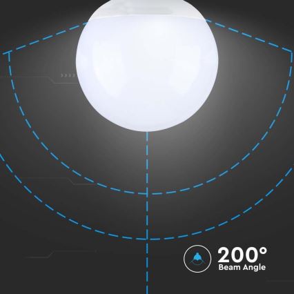 Lampadina LED SAMSUNG CHIP G120 E27/22W/230V 6500K