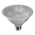 Lampadina LED SAMSUNG CHIP PAR30 E27/11W/230V 6500K