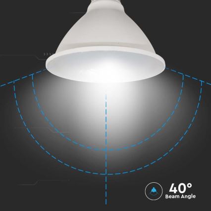 Lampadina LED SAMSUNG CHIP PAR30 E27/11W/230V 6500K