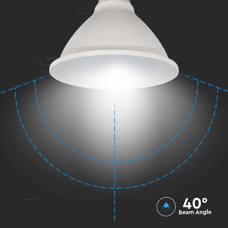 Lampadina LED SAMSUNG CHIP PAR30 E27/11W/230V 6500K