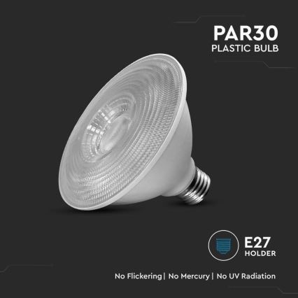 Lampadina LED SAMSUNG CHIP PAR30 E27/11W/230V 6500K