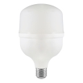 Lampadina LED T100 E27/30W/230V 4000K