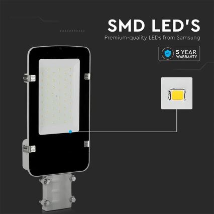 Lampione LED SAMSUNG CHIP LED/30W/230V 4000K IP65