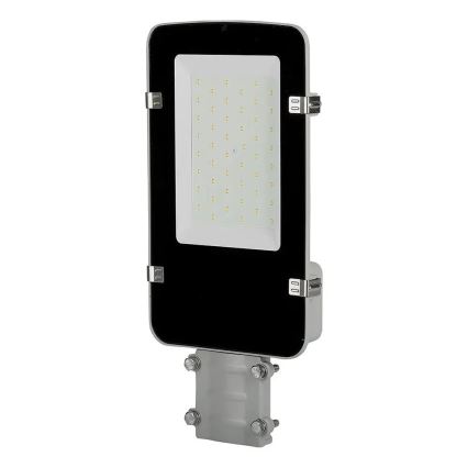 Lampione LED SAMSUNG CHIP LED/30W/230V 4000K IP65