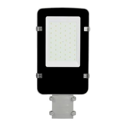 Lampione LED SAMSUNG CHIP LED/30W/230V 4000K IP65