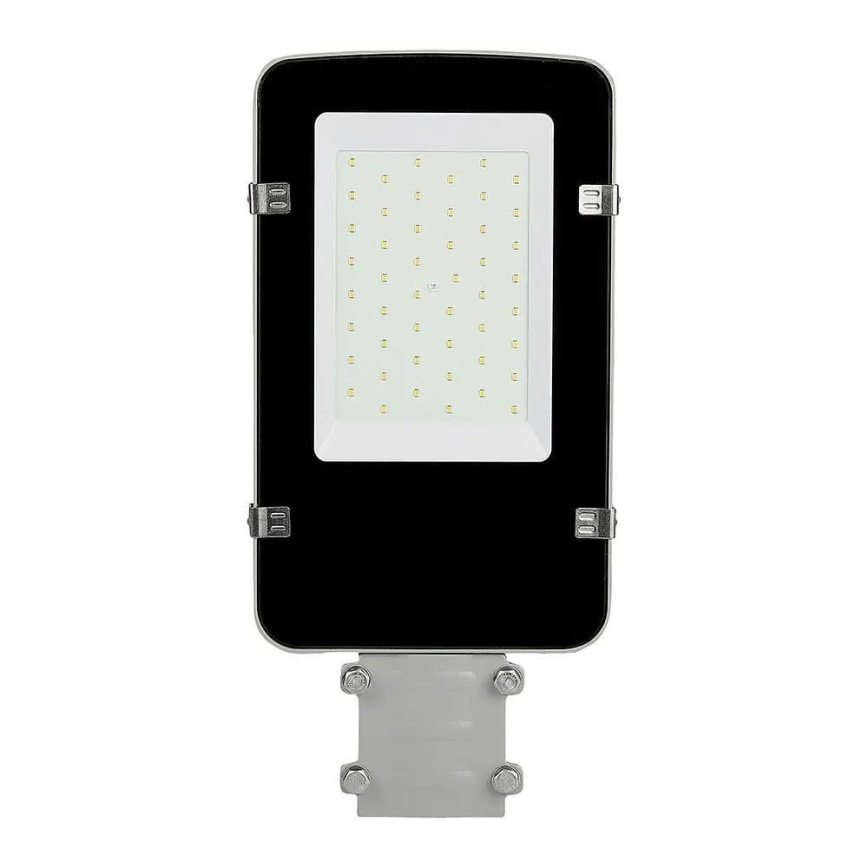 Lampione LED SAMSUNG CHIP LED/30W/230V 4000K IP65