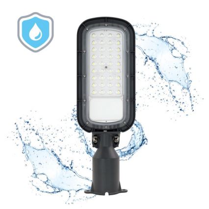Lampione stradale a LED BRELUXO LED/50W/230V 4000K IP65