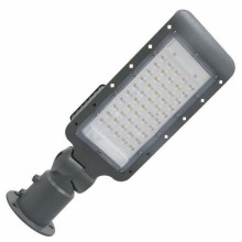 Lampione stradale LED LED/50W/170-400V IP65