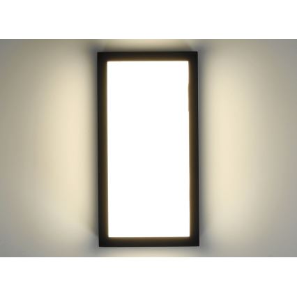 LED Applique da esterno ENTERA LED/10W/230V 4000K IP54