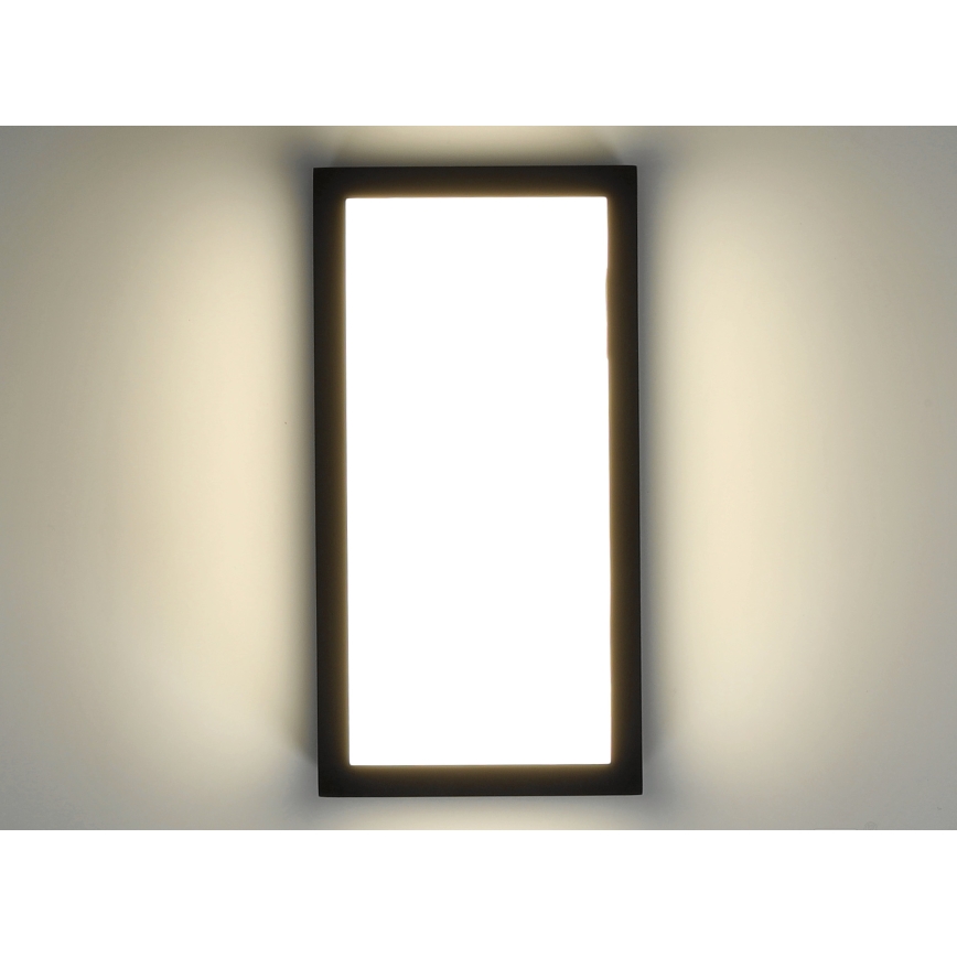 LED Applique da esterno ENTERA LED/10W/230V 4000K IP54