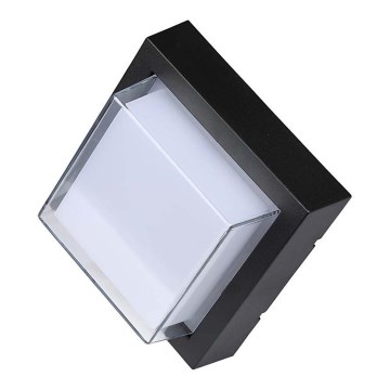 LED Applique da esterno LED/7W/230V IP65