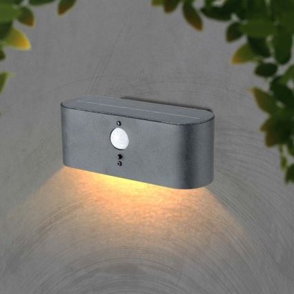 LED Applique solare da esterno con sensore LED/2,5W/3,7V 3000K IP54