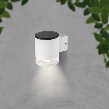 LED Applique solare da esterno LED/1W/3,7V 3000K IP54 1200 mAh bianco