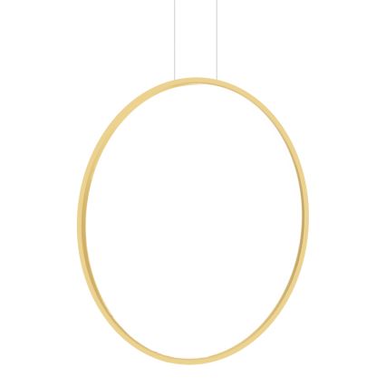 LED Bathroom lampadario on a string SATURNO LED/46W/230V IP44 oro