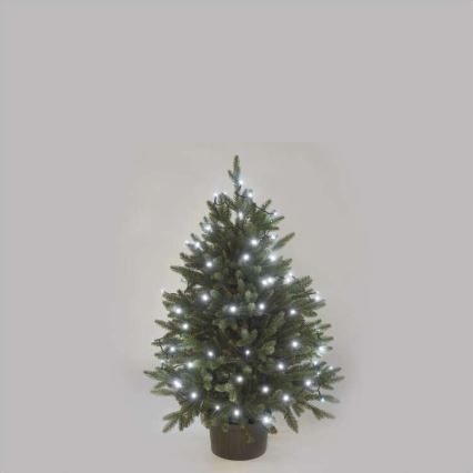 LED Catena luminosa natalizia da esterno 80xLED/13m IP44 bianco freddo
