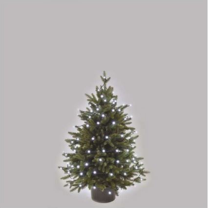 LED Catena luminosa natalizia per esterni 80xLED/13m IP44 bianco freddo