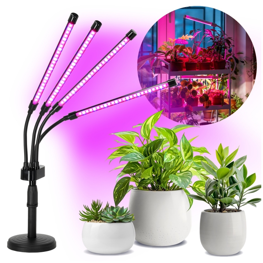 LED Dimmerabile flessibile lampada da tavolo per la coltivazione di piante VITARO 4xLED/10W/230V nero