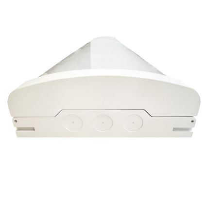 LED Dimmerabile fluorescente chiaro LED/35W/44W/52W/60W/230V 4000K 120 cm