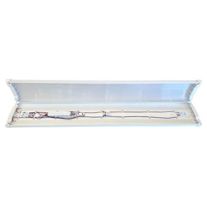 LED Dimmerabile fluorescente chiaro LED/35W/44W/52W/60W/230V 4000K 120 cm