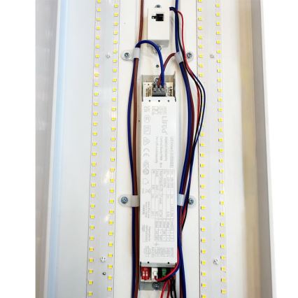 LED Dimmerabile fluorescente chiaro LED/35W/44W/52W/60W/230V 4000K 120 cm