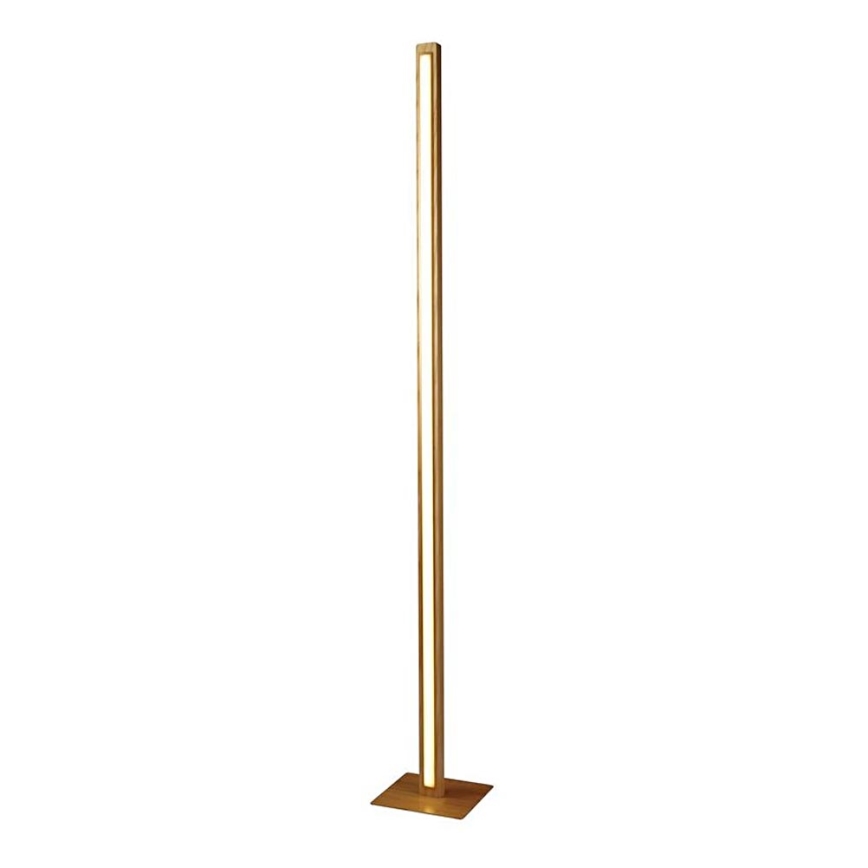 LED Dimmerabile touch lampada con piedistallo RODNEY LED/35W/230V faggio