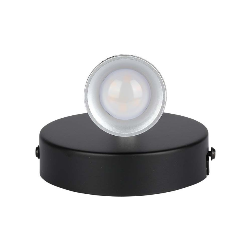 LED Faretto da parete LED/4,5W/230V 4000K nero