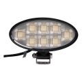 LED Faretto per macchina BLACK LED/160W/10-30V IP69 5700K ovale