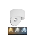 LED Flessibile Luce Spot LED/20W/230V 3000/4000/6400K CRI 90 bianco