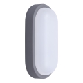 LED Lampada da esterno LED/20W/230V 4000K IP54 grigio ovale