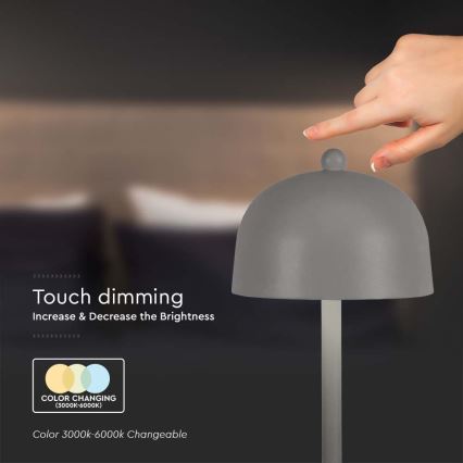 LED Lampada da tavolo touch ricaricabile e dimmerabile LED/1W/5V 3000-6000K 1800 mAh grigio