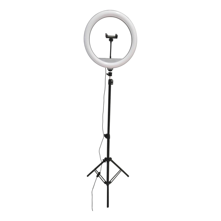 LED Lampada dimmerabile con treppiede e supporto per vlogging LED/15W/5V 2700-6500K